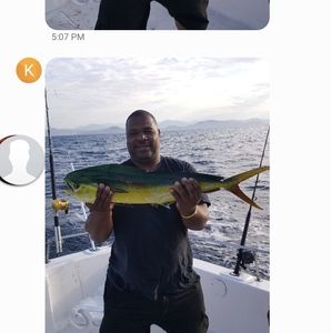 Meet your Posher, Darrin